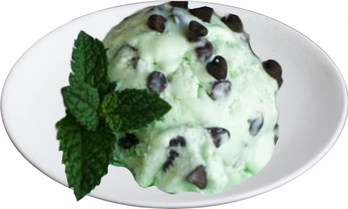 Mint Chocolate Chip  IceCream